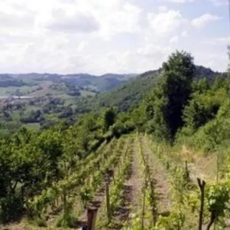 Tolles In Mit Grill Urbino