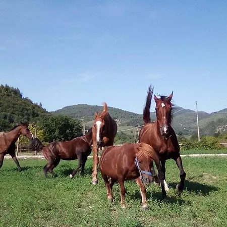 Σπίτι διακοπών Holidays Catassino *